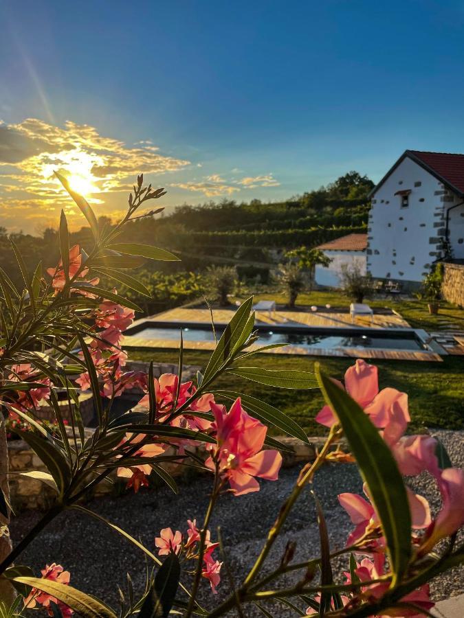 Skerlj Wine Estate Guest House Tomaj Exterior foto