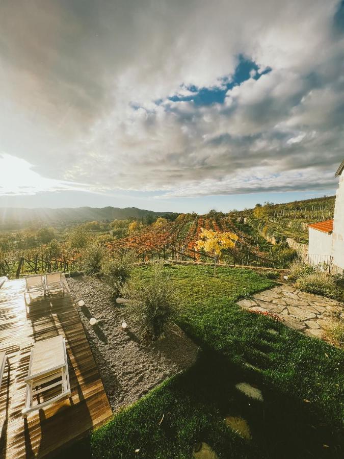 Skerlj Wine Estate Guest House Tomaj Exterior foto